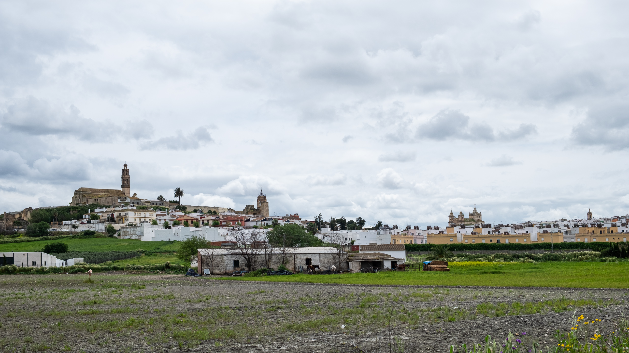 Marchena mit seinen Kirchtürmen am Horizont